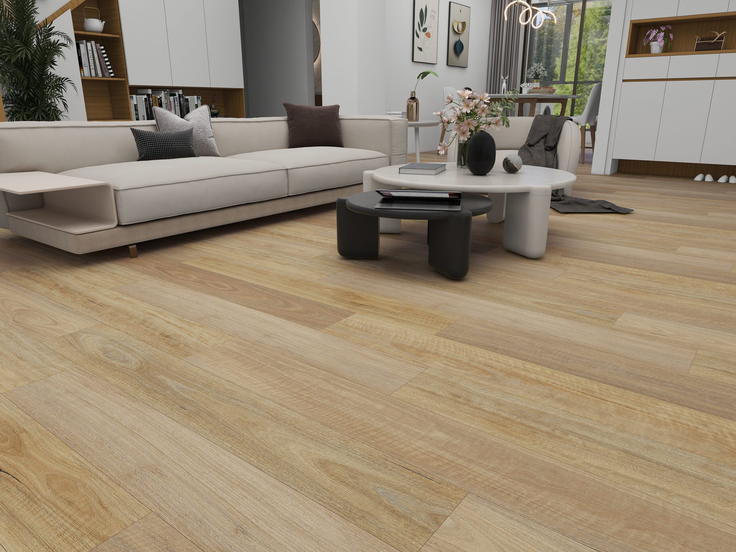 708 spotted gum