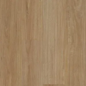 Brumby Range 5G Hybrid -707 Blackbutt