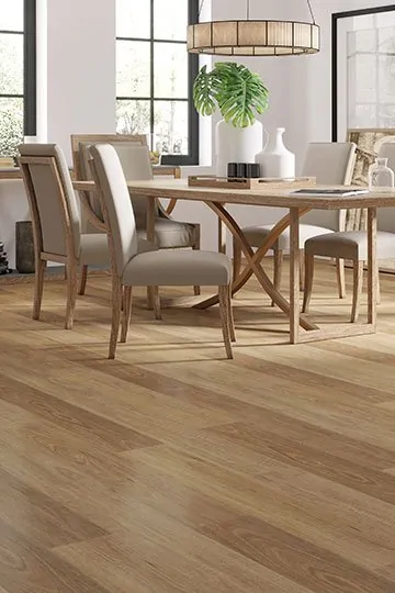 Brumby 5G – Spotted Gum