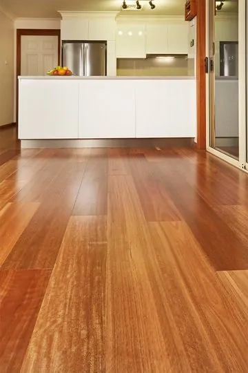 Stockmans Ridge - Spotted Gum