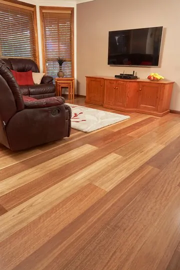 Stockmans Ridge - Spotted Gum