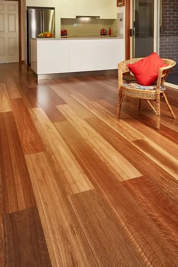 Stockmans Ridge - Spotted Gum